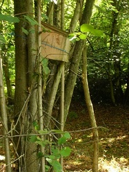 08 Sep 2013: Dormouse box in 2B